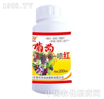 ����-����һ���t