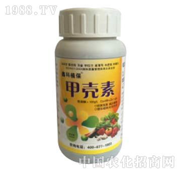 �ך���-�ο�ֲ��