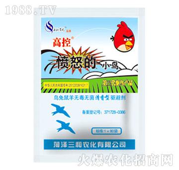 �߿ؑ�ŭ��С�B���������(q��)�܄���-�읙(r��n)����