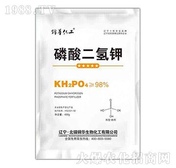 ��������-һ����