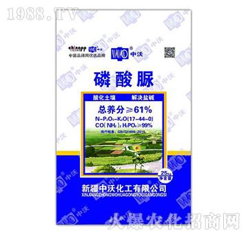 ������-���ֻ���