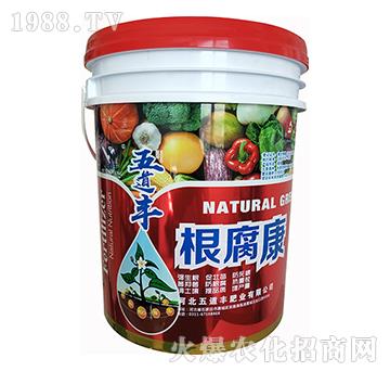 ������-����S