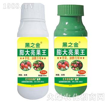 �O(p��ng)�������Ҍ������������-�R�Sֲ��