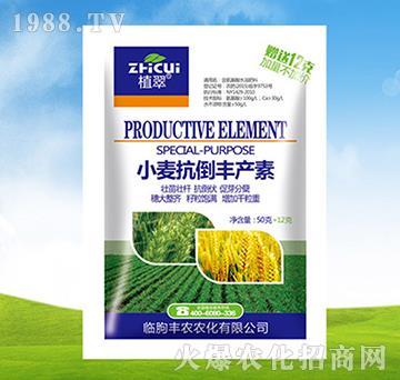 С�������S�a��-ֲ��-�S�r�r��