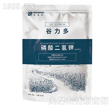 ��������-������-��٤�z