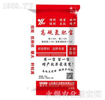 ���򵪷ʌ�-���-� ���