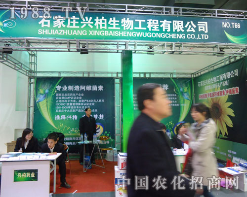 ʯ���f�d�������ںӱ�ʡֲ��������������