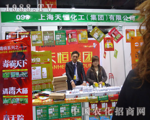 �Ϻ���㻯����������