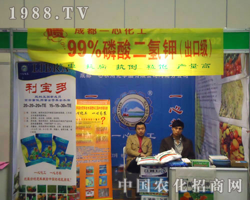 �ɶ���һ�Ļ����ں��Ϸ����p����(hu��)����