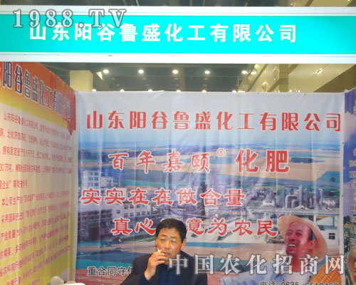 ɽ�|�(y��ng)����ʢ�����ں��Ϸ����p����(hu��)����