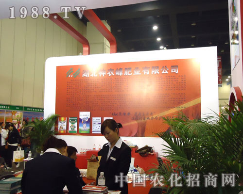 �ӱ����r(n��ng)��ʘI(y��)�����ݷ����p����¡��������