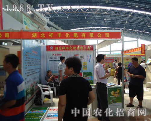 ���ݷ��ϕ����S���ʻ�����