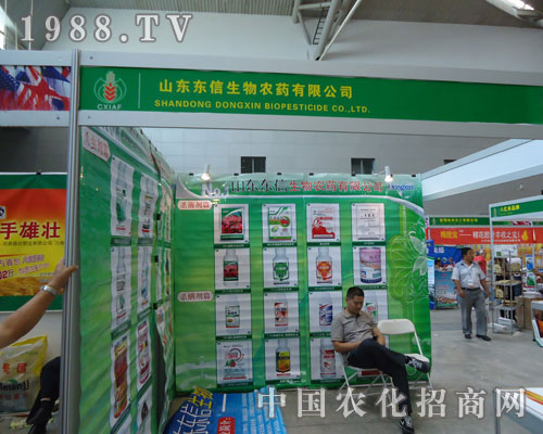 ɽ�|�|�������rˎ�ڵ�ʮһ���½��r������������