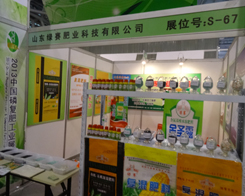 2013���׏�(f��)�ʕ�(hu��)�h