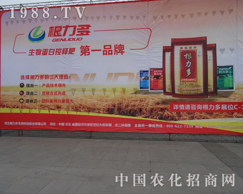 ��������������2013�׏ͷ�չ�[��