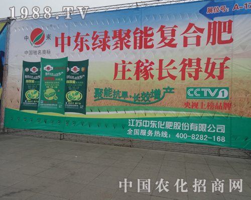 �Ж|���ʳ��F(xi��n)���Ї��׏�(f��)��չ�[��