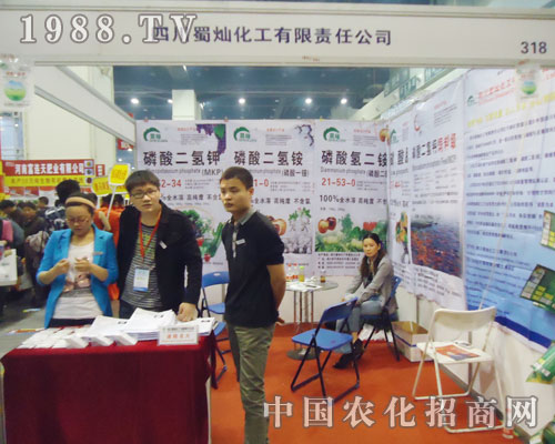 �����A�S��2013���Ϸ��Ͻ��ו��hâ��¶