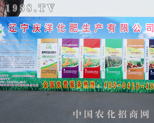 �c�󻯷��ڵ�ʮ�����(y��ng)�����p����(hu��)�ϴ������M(j��n)