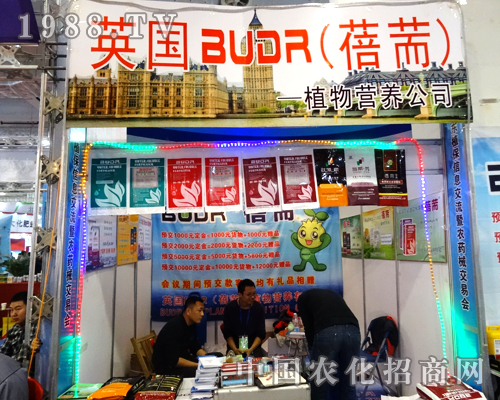 �gӭӢ�����H����2014ɽ�|ֲ���p����