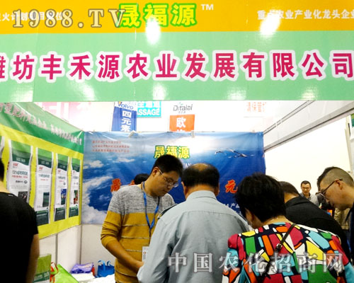 �H���S��Դ�r�I(y��)2015ɽ�|����ֲ�����ϏV���Pע