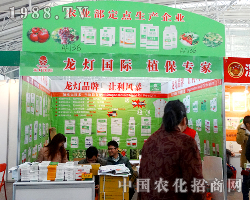 ����������2015�����I�N���p����(hu��)������