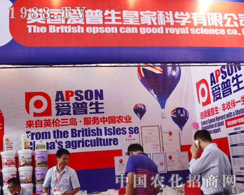 Ӣ����������2015�����r�Y���ϱ��Fͻ��