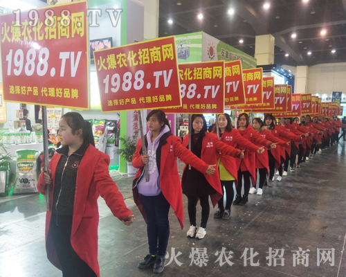 2017����Ϸ����p������1988.TV�����»���