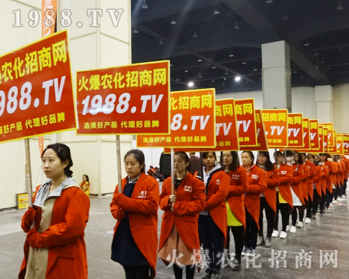     2017����ԭ���ϕ���1988.TV�����������ݲ��ɓ�