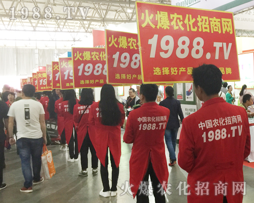 2017�����r�Y���[��