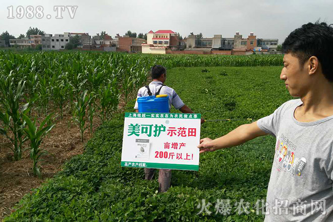 �Ϻ��Խ�r�I(y��)�Ƽ����޹�˾