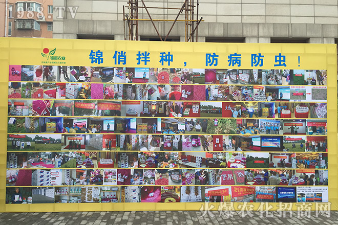 �Ϻ��Խ�r�I(y��)�Ƽ����޹�˾