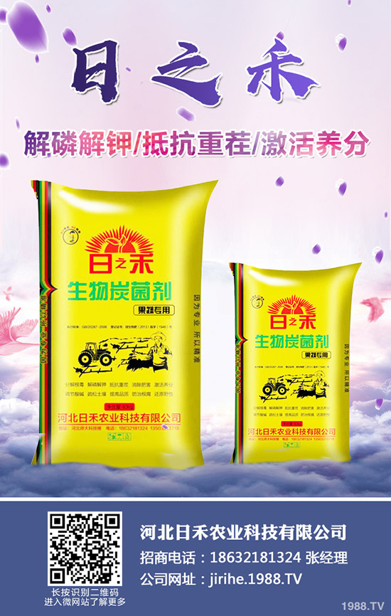 2019.10.10�Շ���(n��i)���؃r(ji��)���߄ݼ��������(b��o)