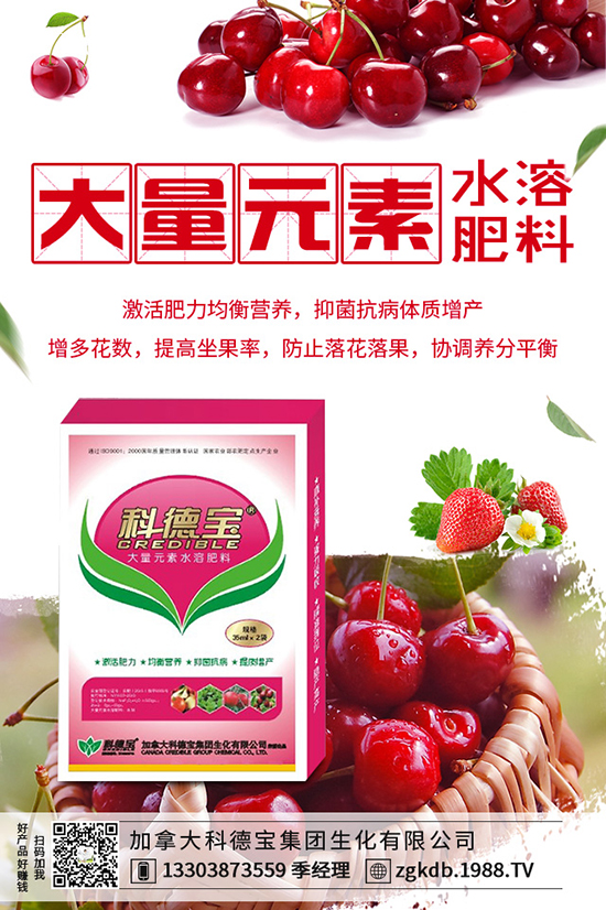 ������(ji��)�N��ᘹ����������������(ji��)��ᘹ�����������