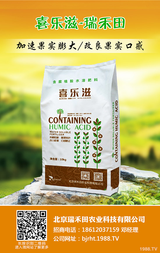 ����ʲô�r��Nֲ������Nֲ������ʲô��