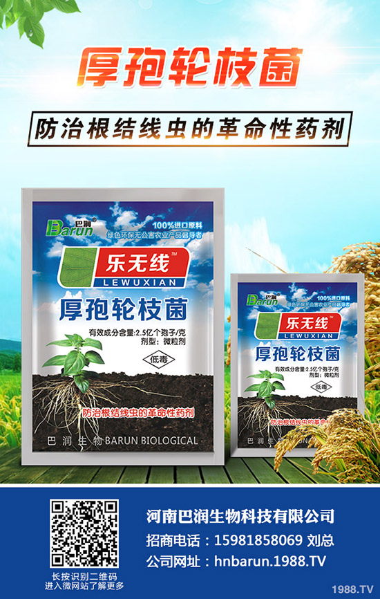 ����÷��ô�B(y��ng)������÷���B(y��ng)ֳ������ע�������