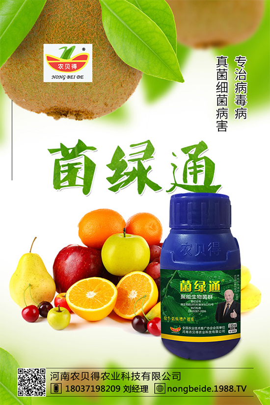 С��������_�x�N����֪������x�N�Ŀ��@����