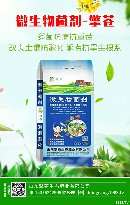     ���؃r(ji��)���B�m(x��)�µ����������������߄ݷ���2019-10-17