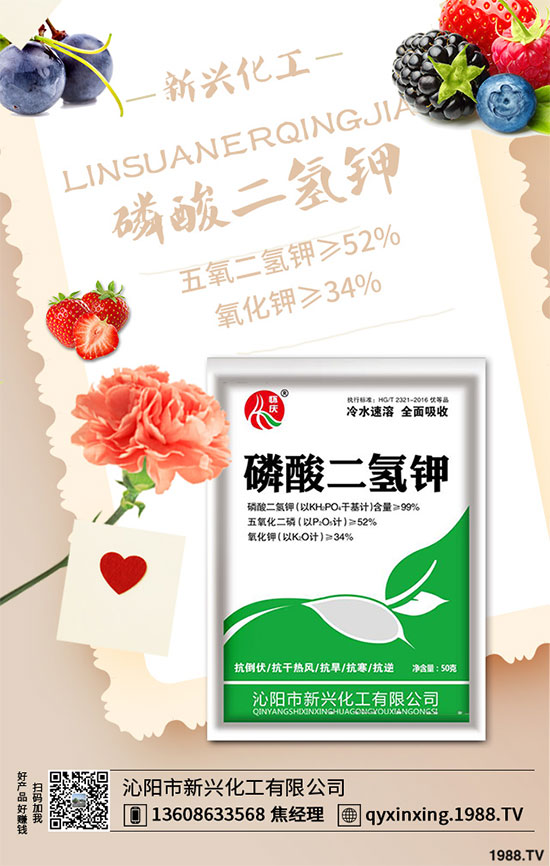 ���[�B��Σ���󣬵���ԓ��ν�Q�����[�B���ϵK���߮a(ch��n)�������g(sh��)��