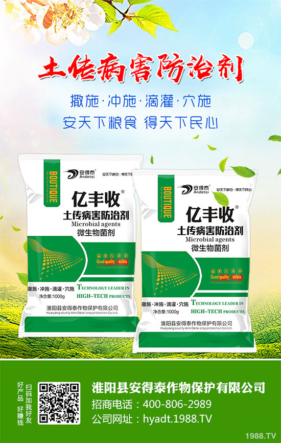 ���}���Ĺ�Ч�c���������}���I�B(y��ng)�rֵ��