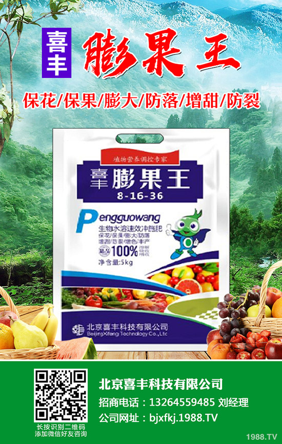 �۲˰l(f��)ѿ����ô�k���۲˴�ѿ��������Щ��