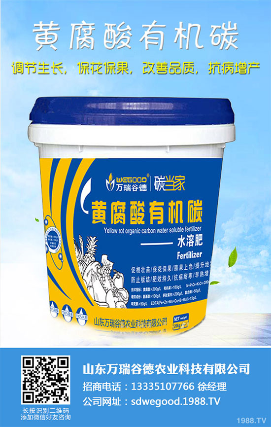 С�ײ�ʲô�r��Nֲ��С�ײ˸߮a(ch��n)�Nֲ���g