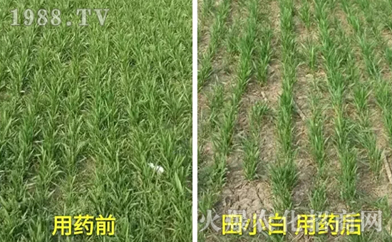 ��(ji��)��(ji��)����η�������ʲôˎ����ô��ˎЧ������