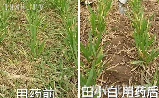 ��(ji��)��(ji��)����η�������ʲôˎ����ô��ˎЧ������