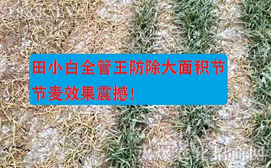 ��(ji��)��(ji��)����η�������ʲôˎ����ô��ˎЧ������