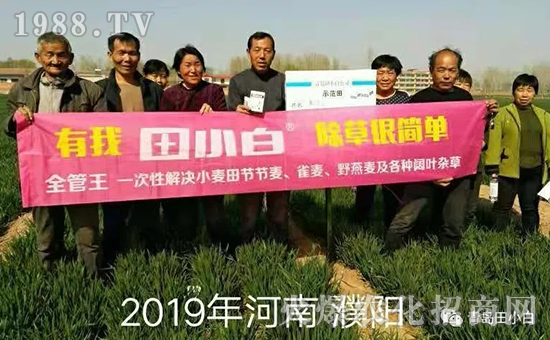 39��(ji��)��(ji��)����η�������ʲôˎ����ô��ˎЧ������