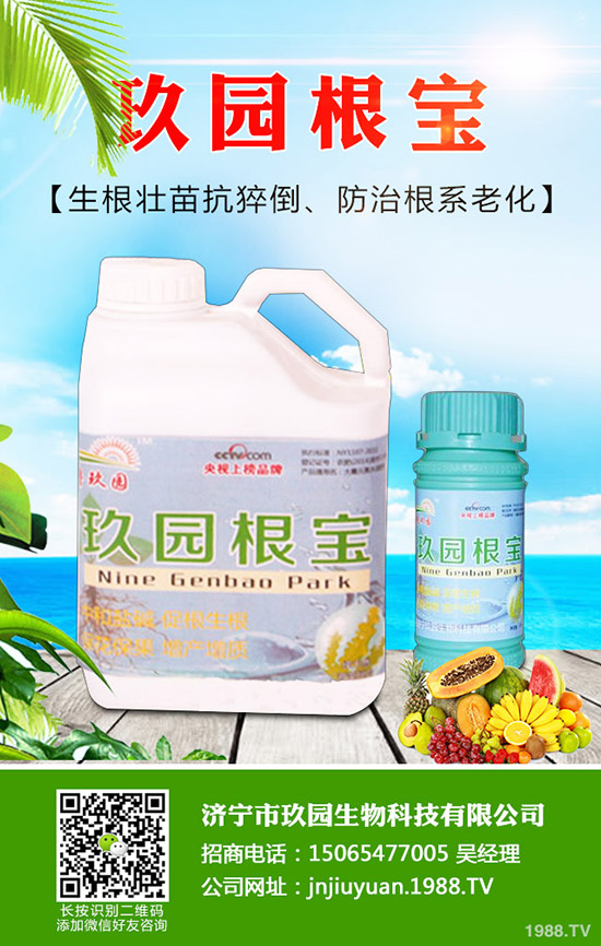 �������x��η����������x��Σ�����l(f��)��Ҏ(gu��)�ɣ�