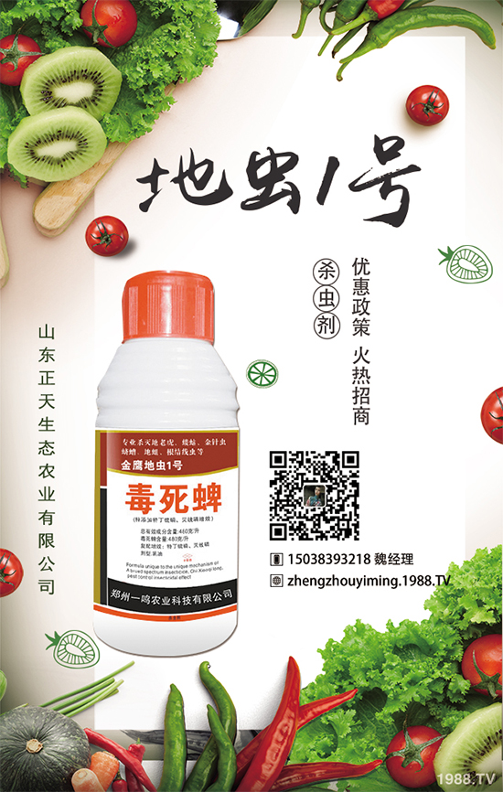 �����}����ηNֲ�������}����Ҫע��ʲô��