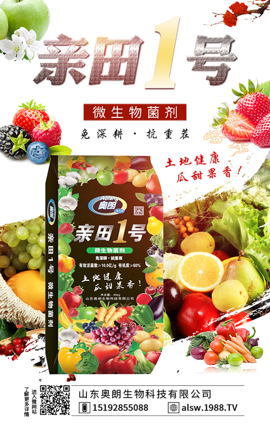 ɽ�|�W������Ƽ����޹�˾2