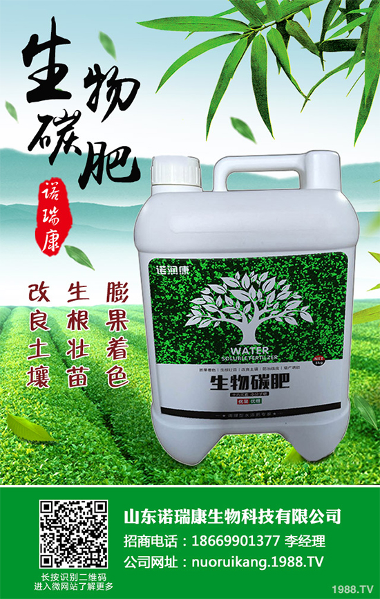 ����������ԓ��ô�N�������@���c(di��n)���p�ɷN����������