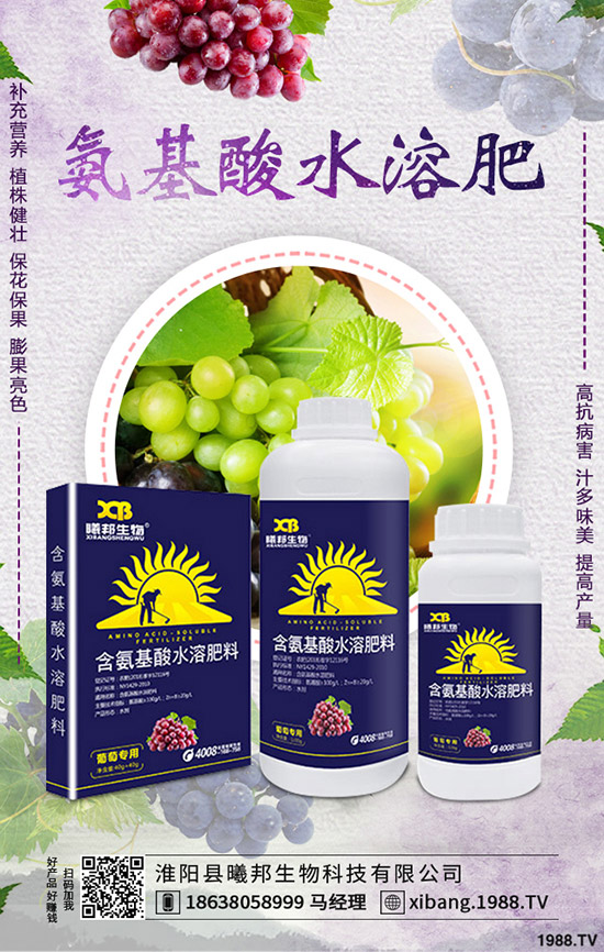 �＾�}����ô�Nֲ���＾�}���Nֲ���g(sh��)������Ҫ�c(di��n)��